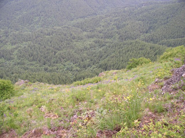 6.10.06 Table Mtn_3CR 059 